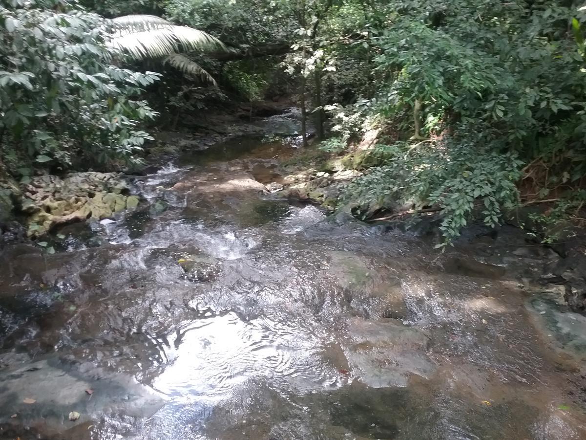 Ostello Hidden Haven Unitedville Esterno foto